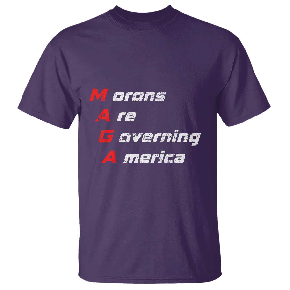morons-are-governing-america-t-shirt