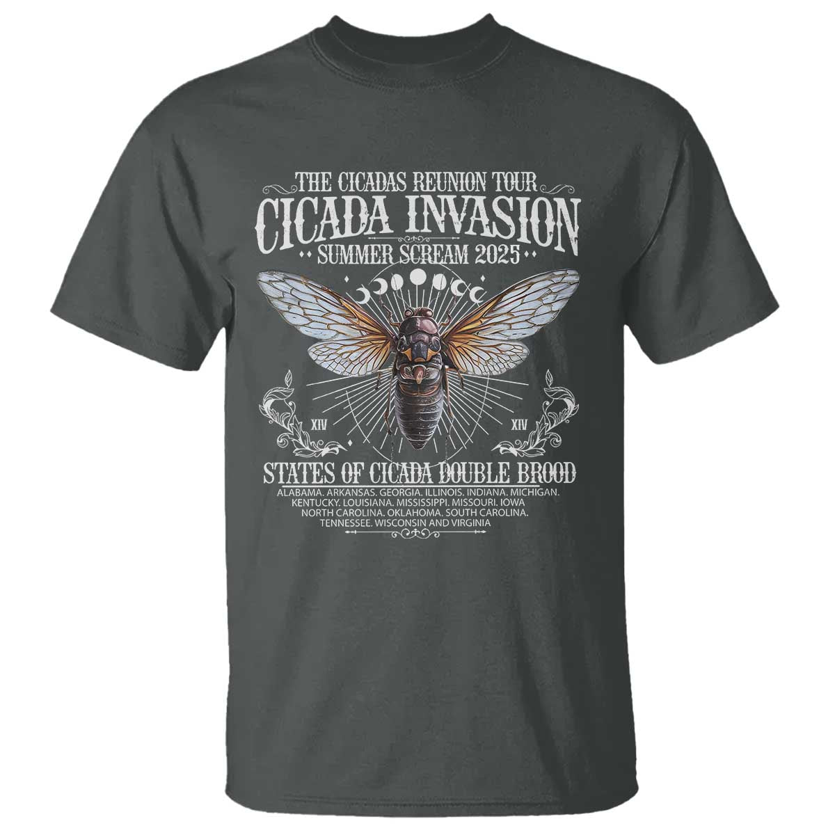 the-cicadas-reunion-tour-2025-t-shirt-cicada-invasion-brood-xiv-vintage-concert-fest