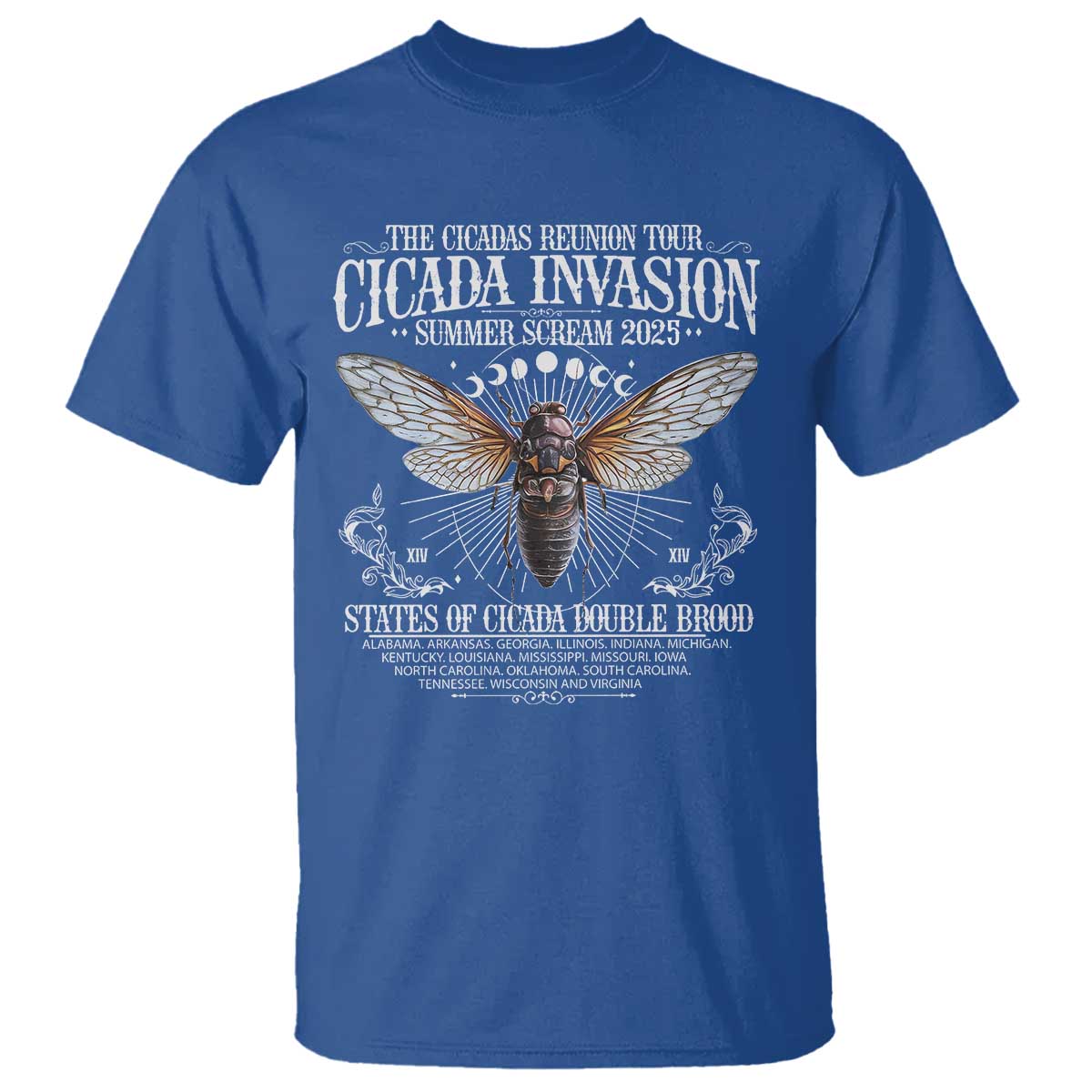 the-cicadas-reunion-tour-2025-t-shirt-cicada-invasion-brood-xiv-vintage-concert-fest