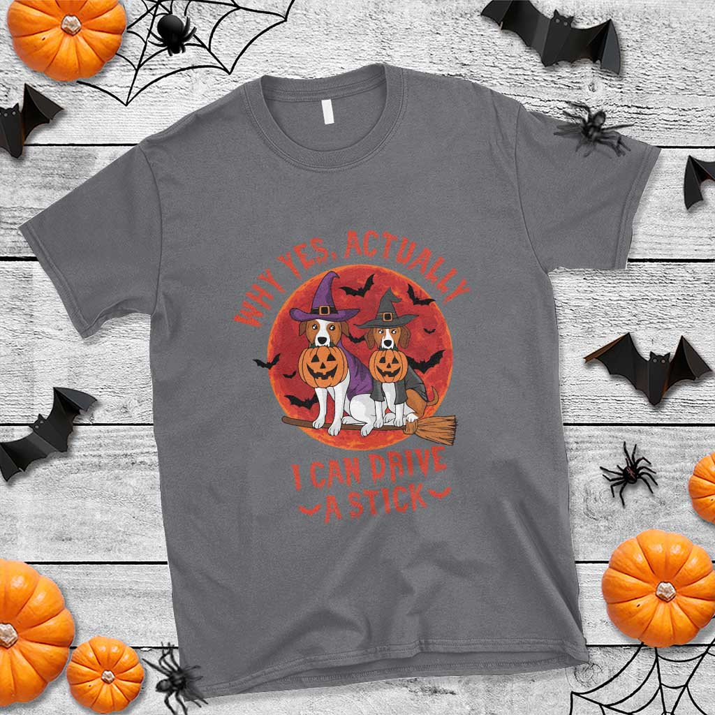 funny-halloween-dog-t-shirt-why-yes-actually-i-can-drive-a-stick-witch