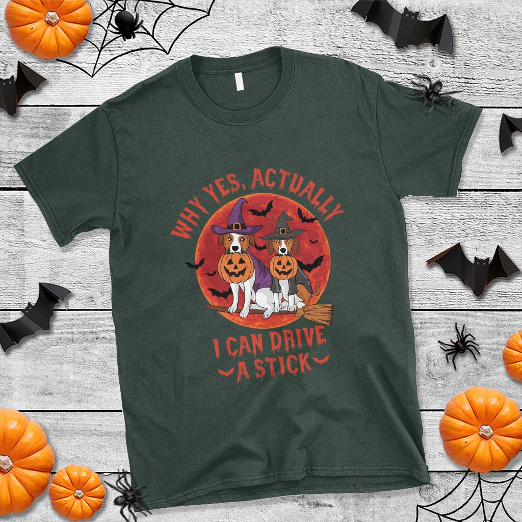 funny-halloween-dog-t-shirt-why-yes-actually-i-can-drive-a-stick-witch