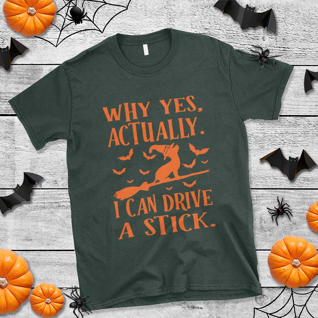 halloween-dog-t-shirt-why-yes-actually-i-can-drive-a-stick-witch