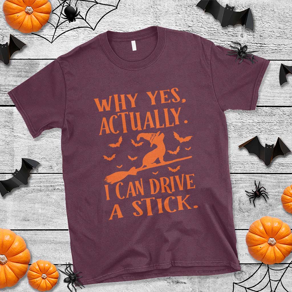 halloween-dog-t-shirt-why-yes-actually-i-can-drive-a-stick-witch
