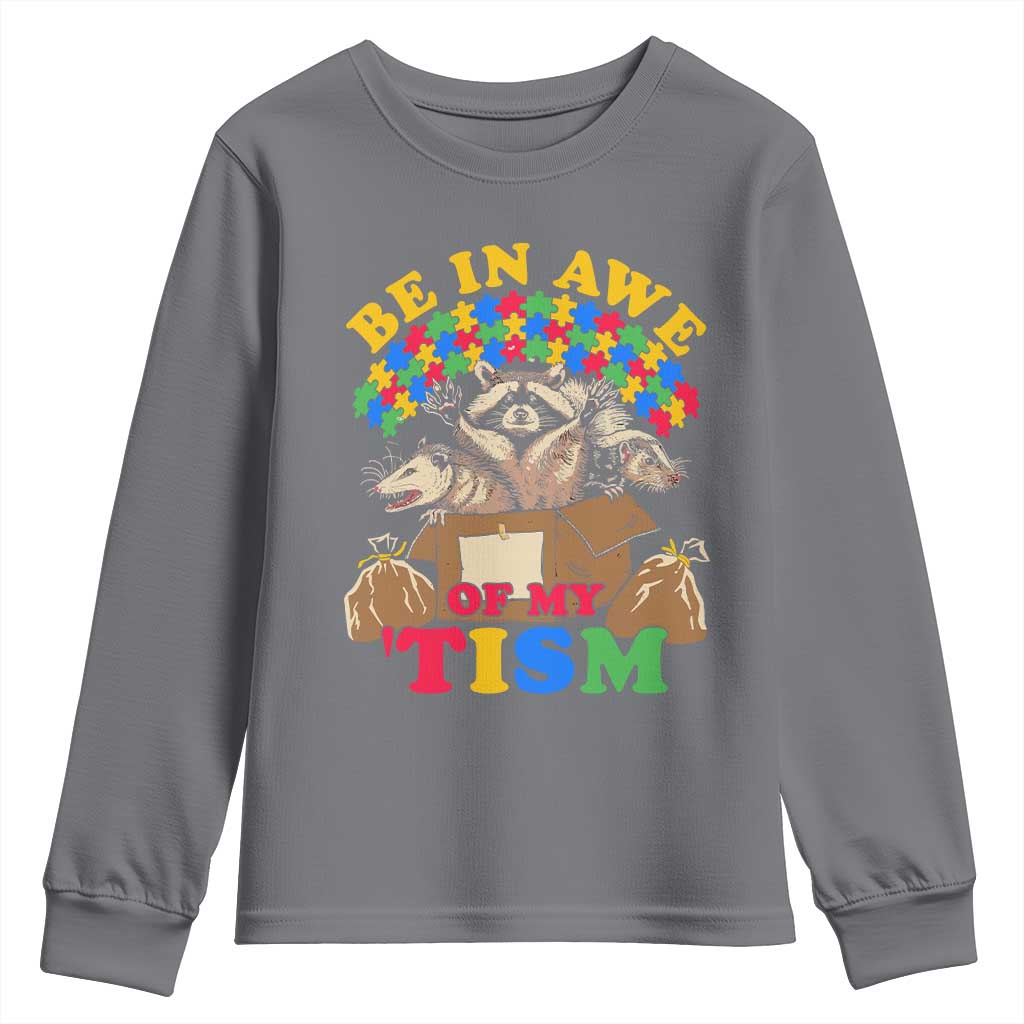 Funny Autism Support Youth Sweatshirt Be In Awe Of My 'Tism Autistic Raccoon Opossum Skunk