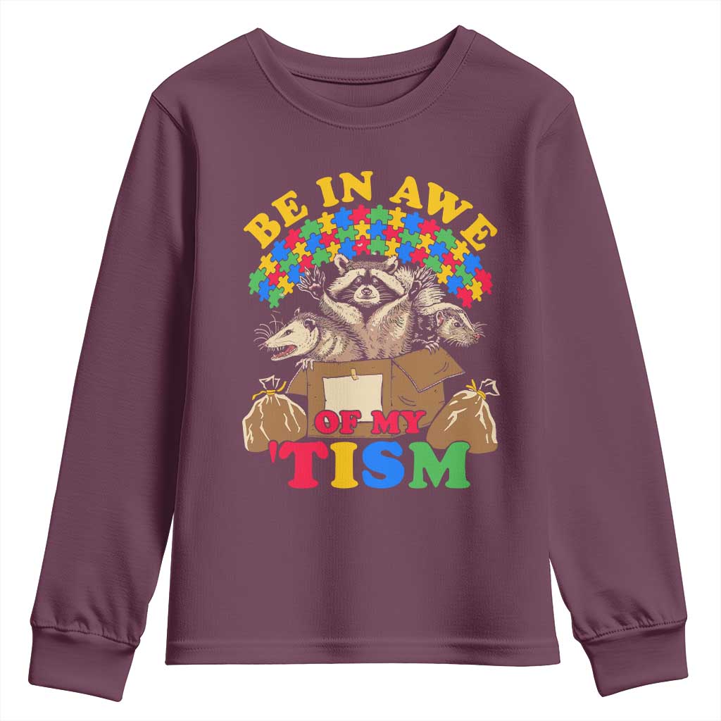 Funny Autism Support Youth Sweatshirt Be In Awe Of My 'Tism Autistic Raccoon Opossum Skunk