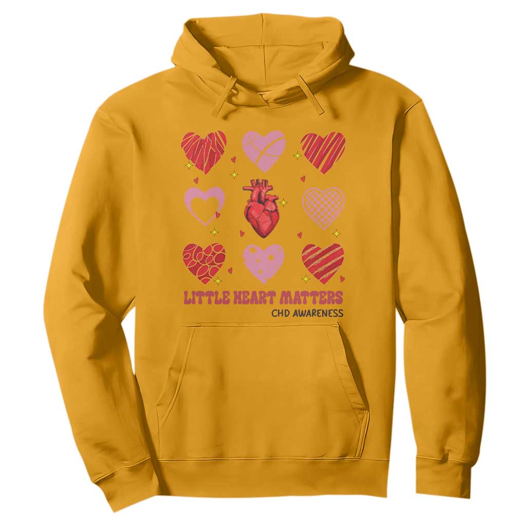 Congenital Heart Disease CHD Support Hoodie Little Heart Matters