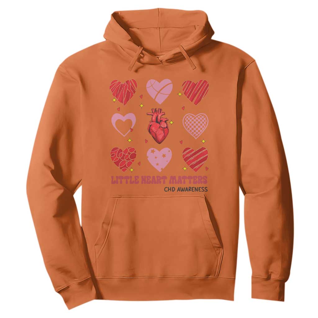 Congenital Heart Disease CHD Support Hoodie Little Heart Matters
