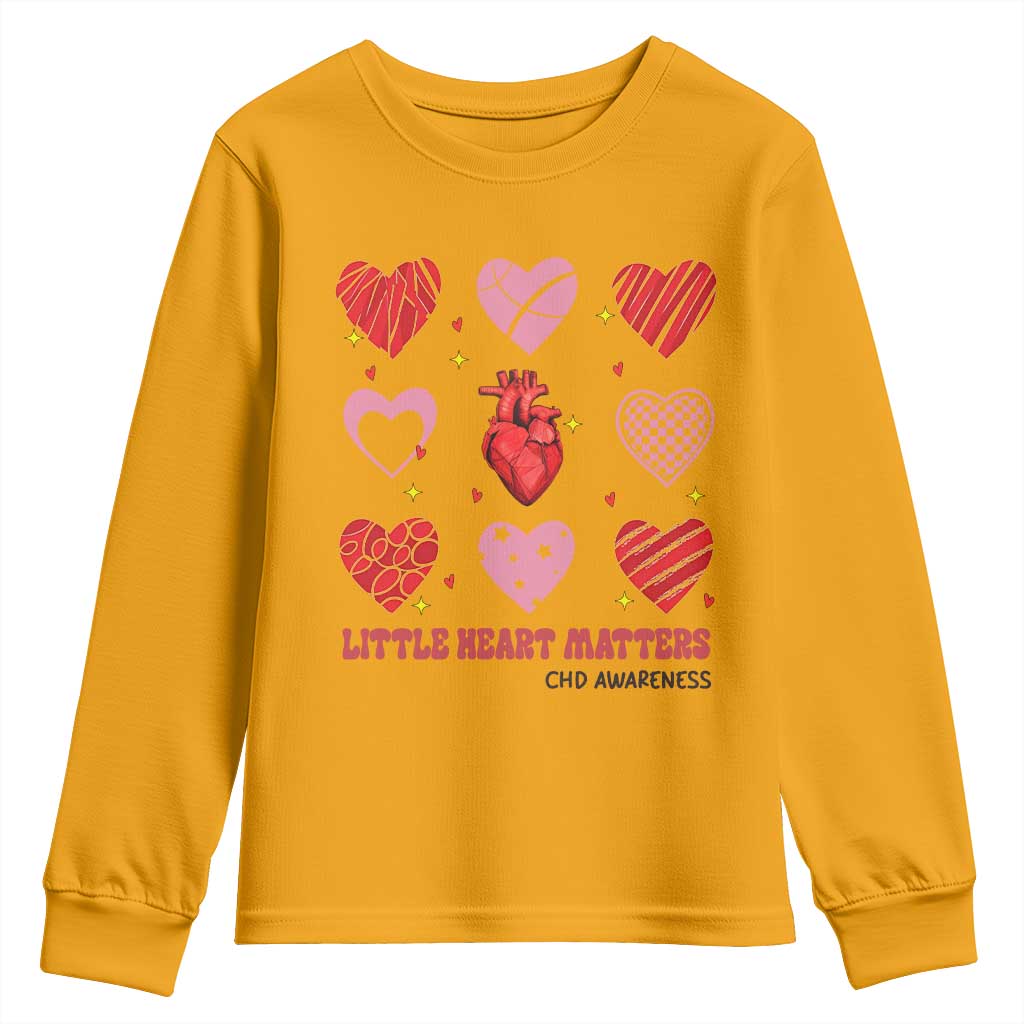 Congenital Heart Disease CHD Support Youth Sweatshirt Little Heart Matters