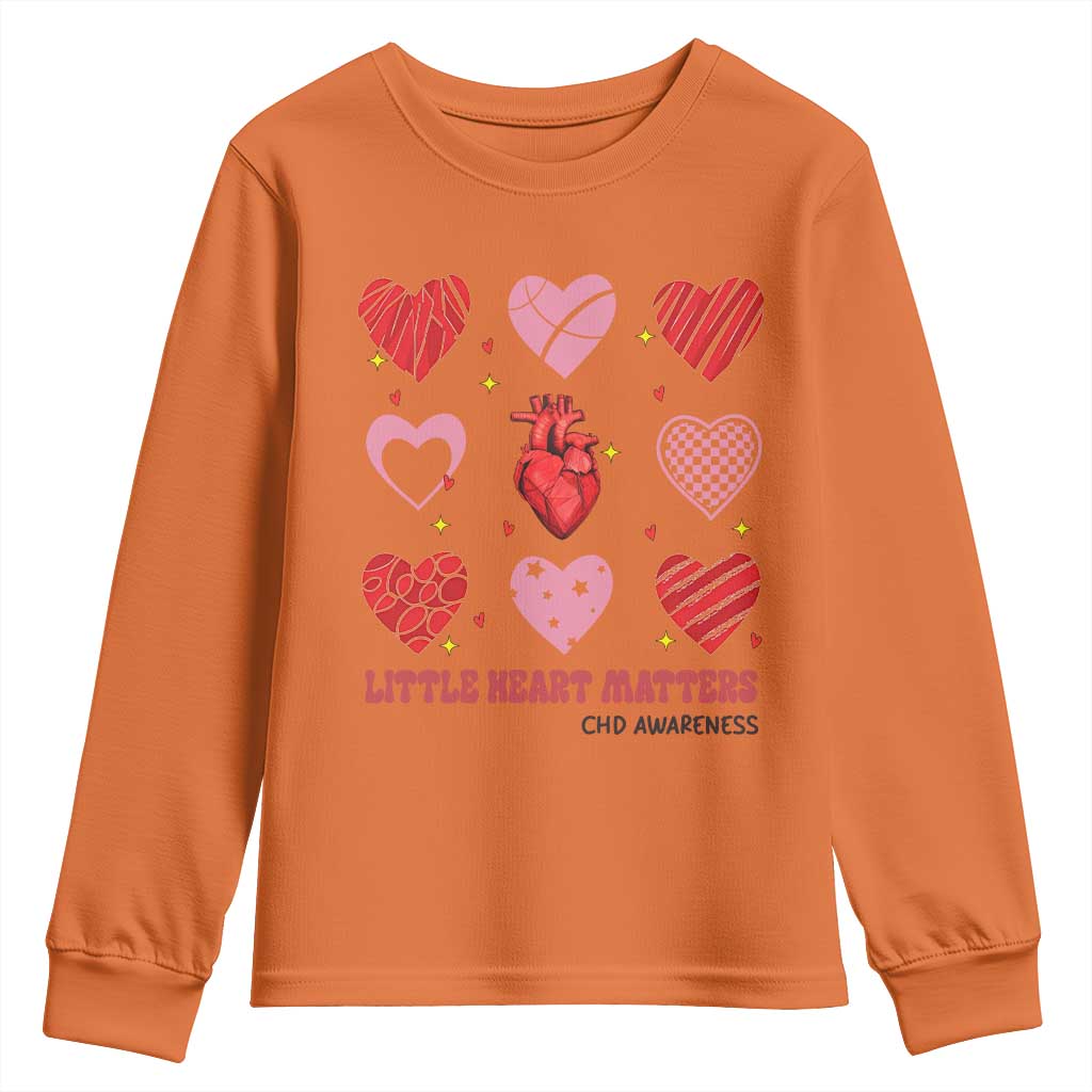 Congenital Heart Disease CHD Support Youth Sweatshirt Little Heart Matters