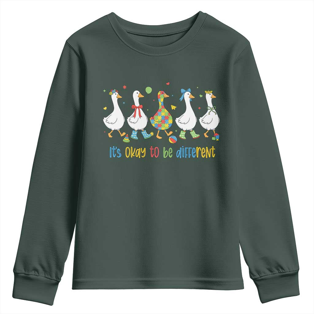 Funny Autistic Goose Youth Sweatshirt It Is Okay To Be Different Autism Awareness