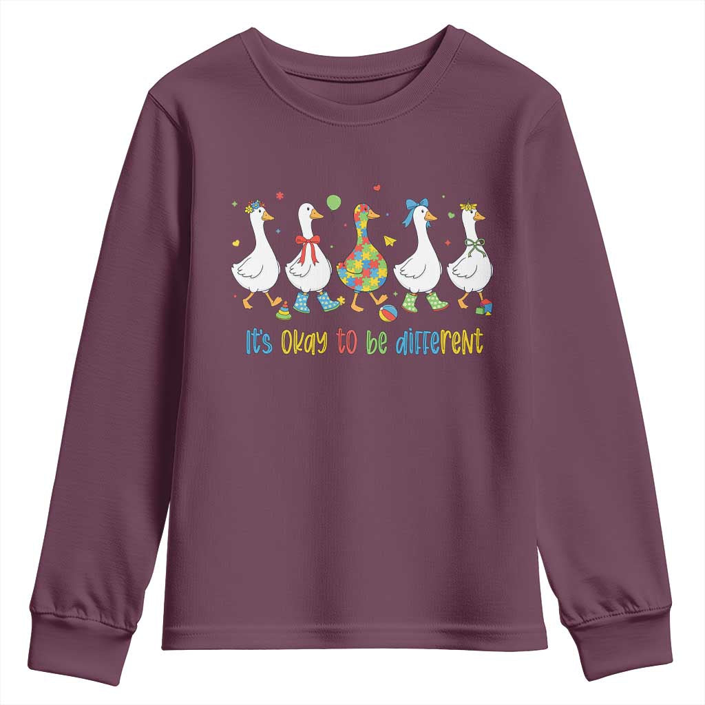 Funny Autistic Goose Youth Sweatshirt It Is Okay To Be Different Autism Awareness