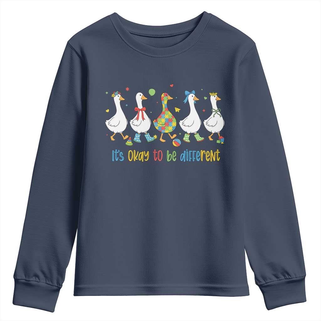 Funny Autistic Goose Youth Sweatshirt It Is Okay To Be Different Autism Awareness