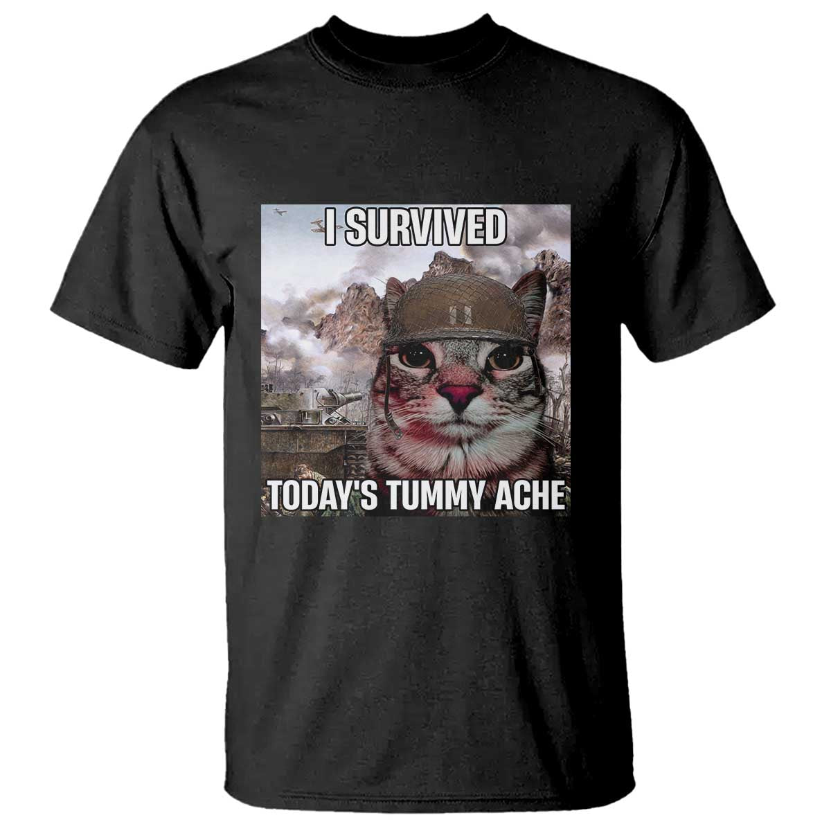 funny-i-survived-todays-tummy-ache-t-shirt-war-cat-meme