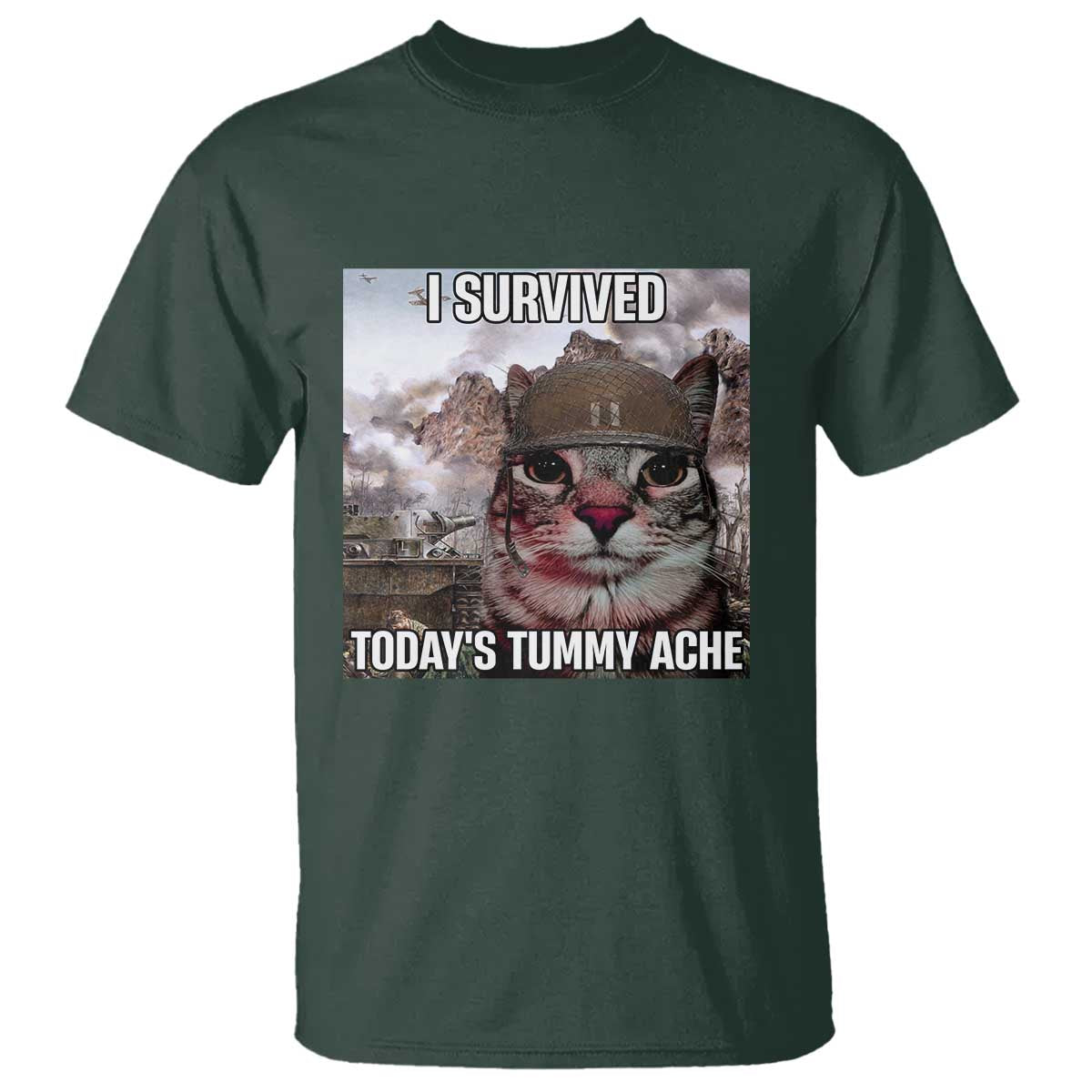 funny-i-survived-todays-tummy-ache-t-shirt-war-cat-meme