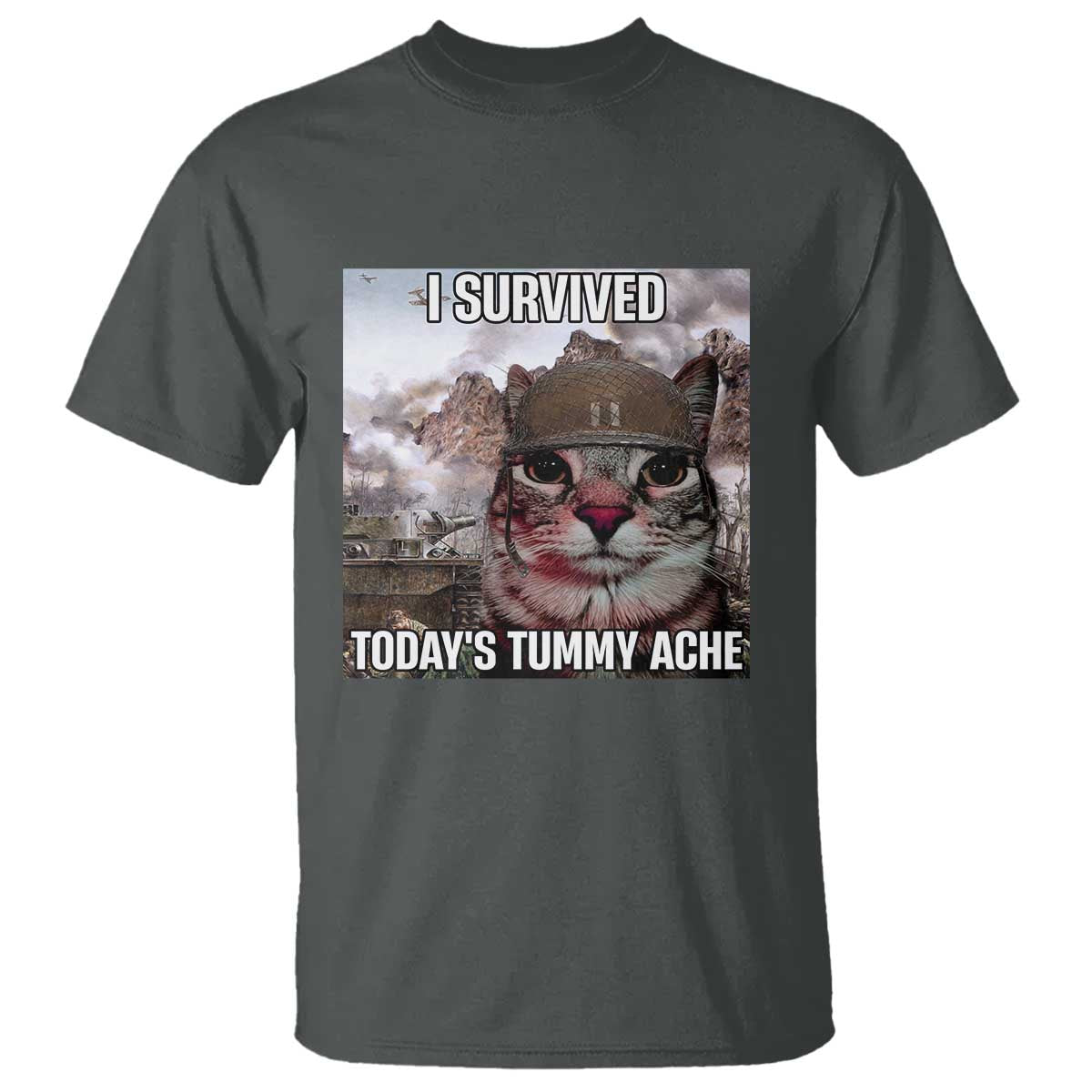 funny-i-survived-todays-tummy-ache-t-shirt-war-cat-meme