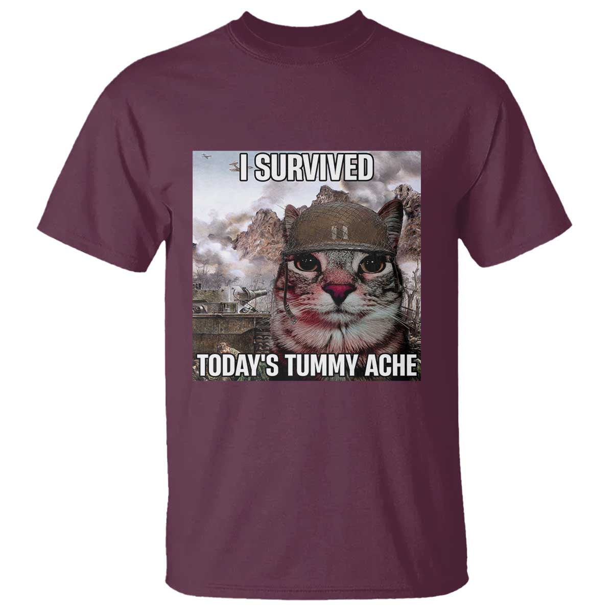 funny-i-survived-todays-tummy-ache-t-shirt-war-cat-meme