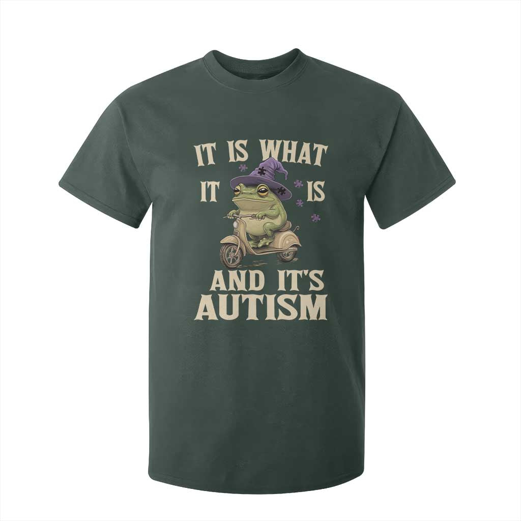 Funny It Is What It Is And It's Autism T Shirt For Kid Meme Autism Support Frog
