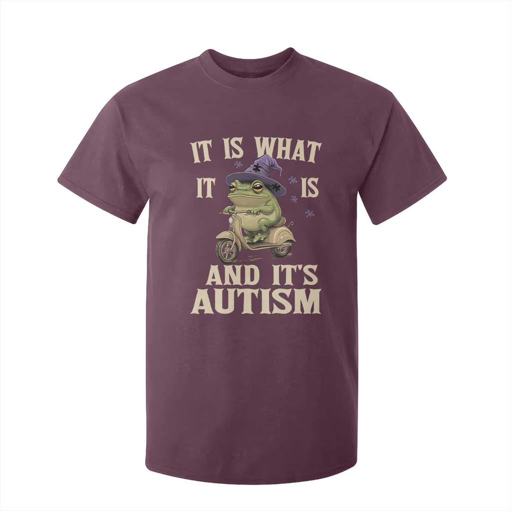 Funny It Is What It Is And It's Autism T Shirt For Kid Meme Autism Support Frog