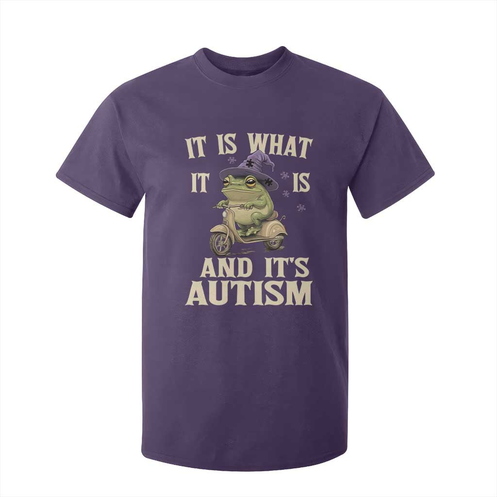 Funny It Is What It Is And It's Autism T Shirt For Kid Meme Autism Support Frog