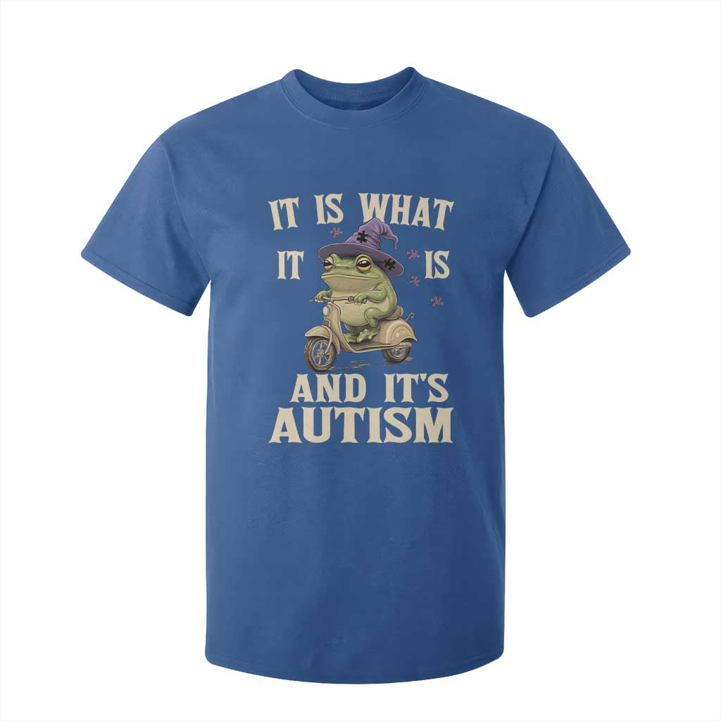 Funny It Is What It Is And It's Autism T Shirt For Kid Meme Autism Support Frog