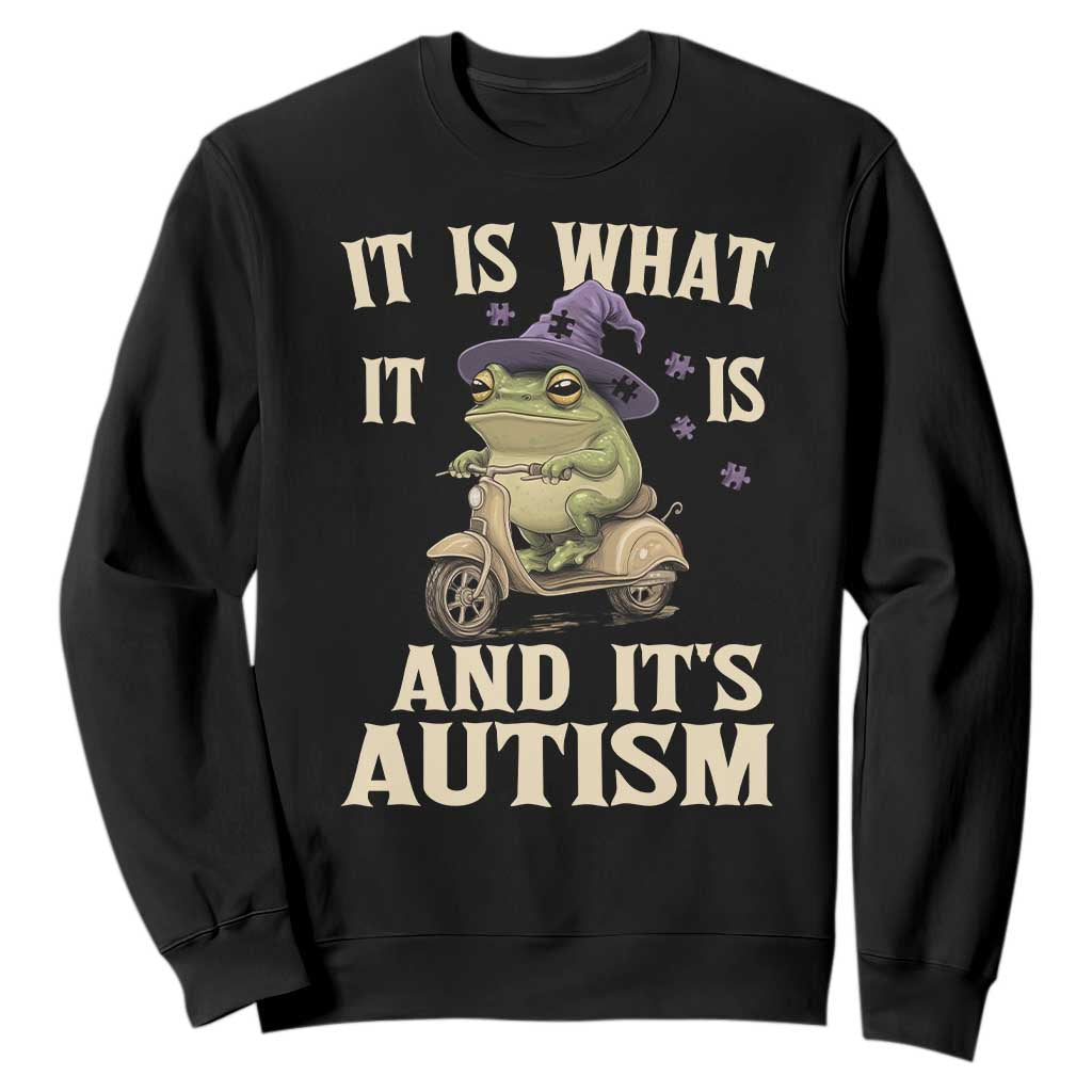 Funny It Is What It Is And It's Autism Sweatshirt Meme Autism Support Frog