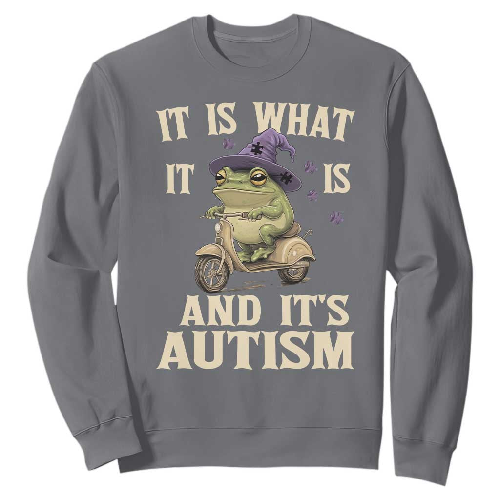 Funny It Is What It Is And It's Autism Sweatshirt Meme Autism Support Frog
