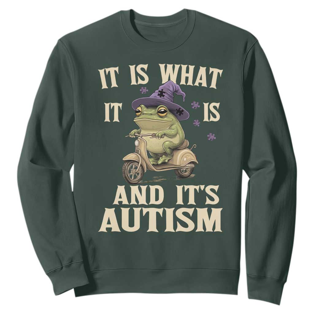 Funny It Is What It Is And It's Autism Sweatshirt Meme Autism Support Frog