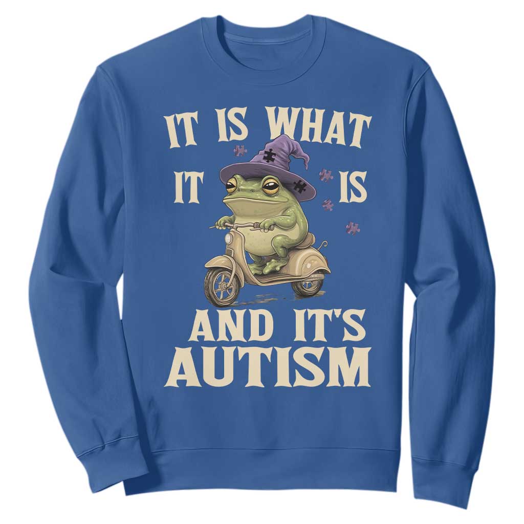 Funny It Is What It Is And It's Autism Sweatshirt Meme Autism Support Frog