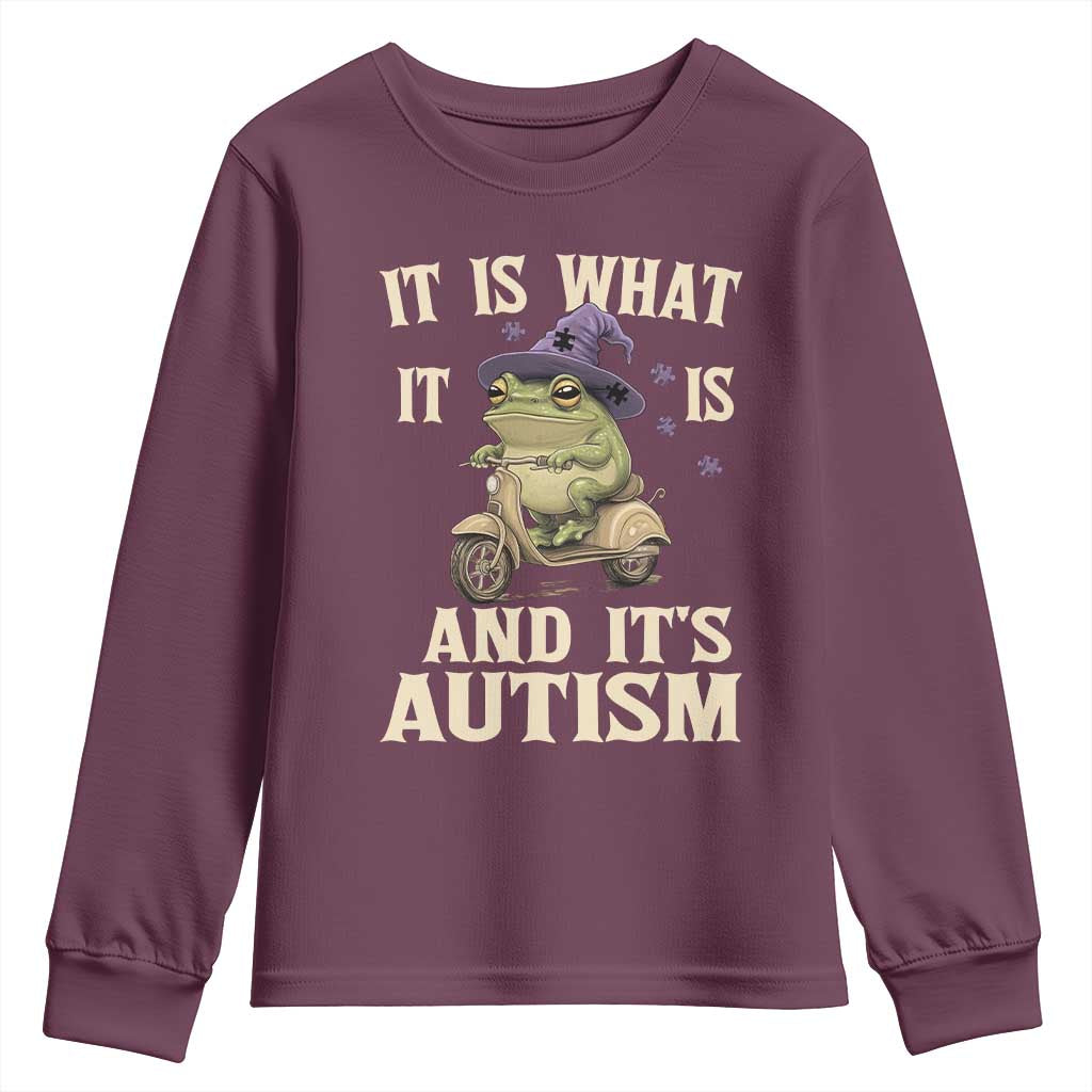 Funny It Is What It Is And It's Autism Youth Sweatshirt Meme Autism Support Frog