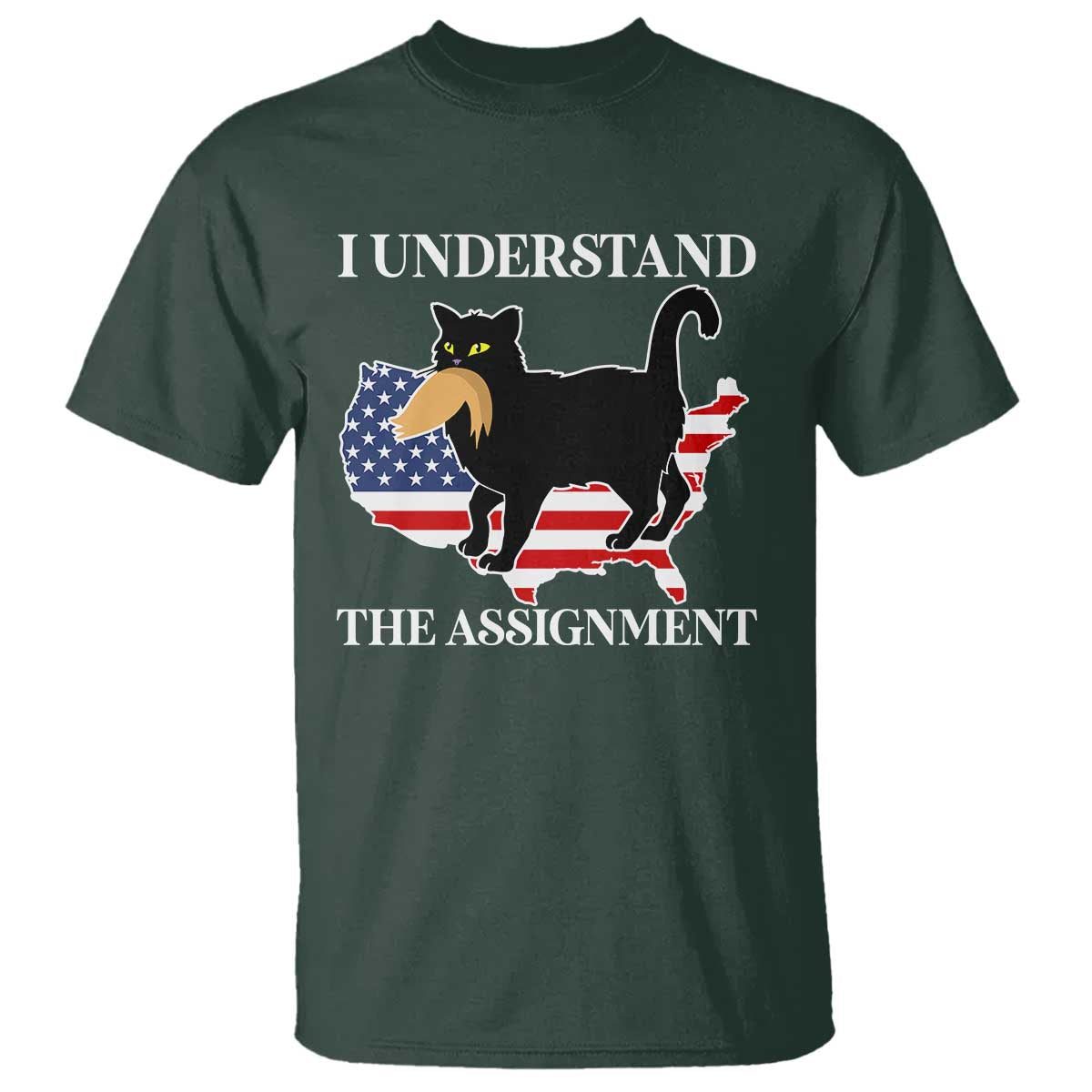 funny-harris-supporter-t-shirt-i-understand-the-assignment-black-cat-american-flag