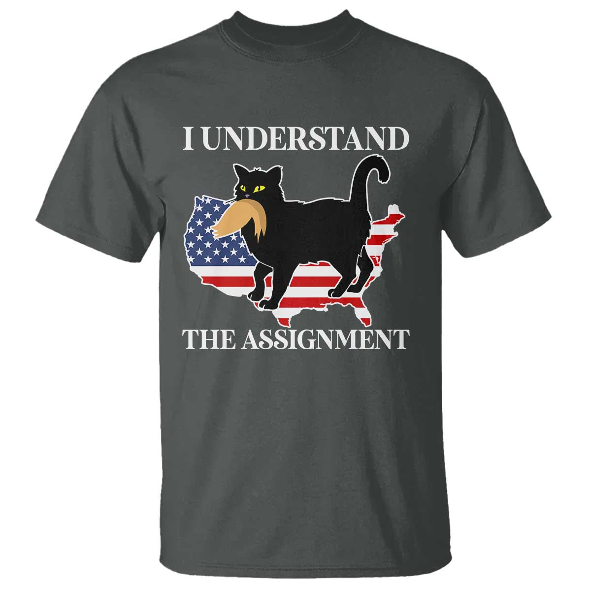 funny-harris-supporter-t-shirt-i-understand-the-assignment-black-cat-american-flag