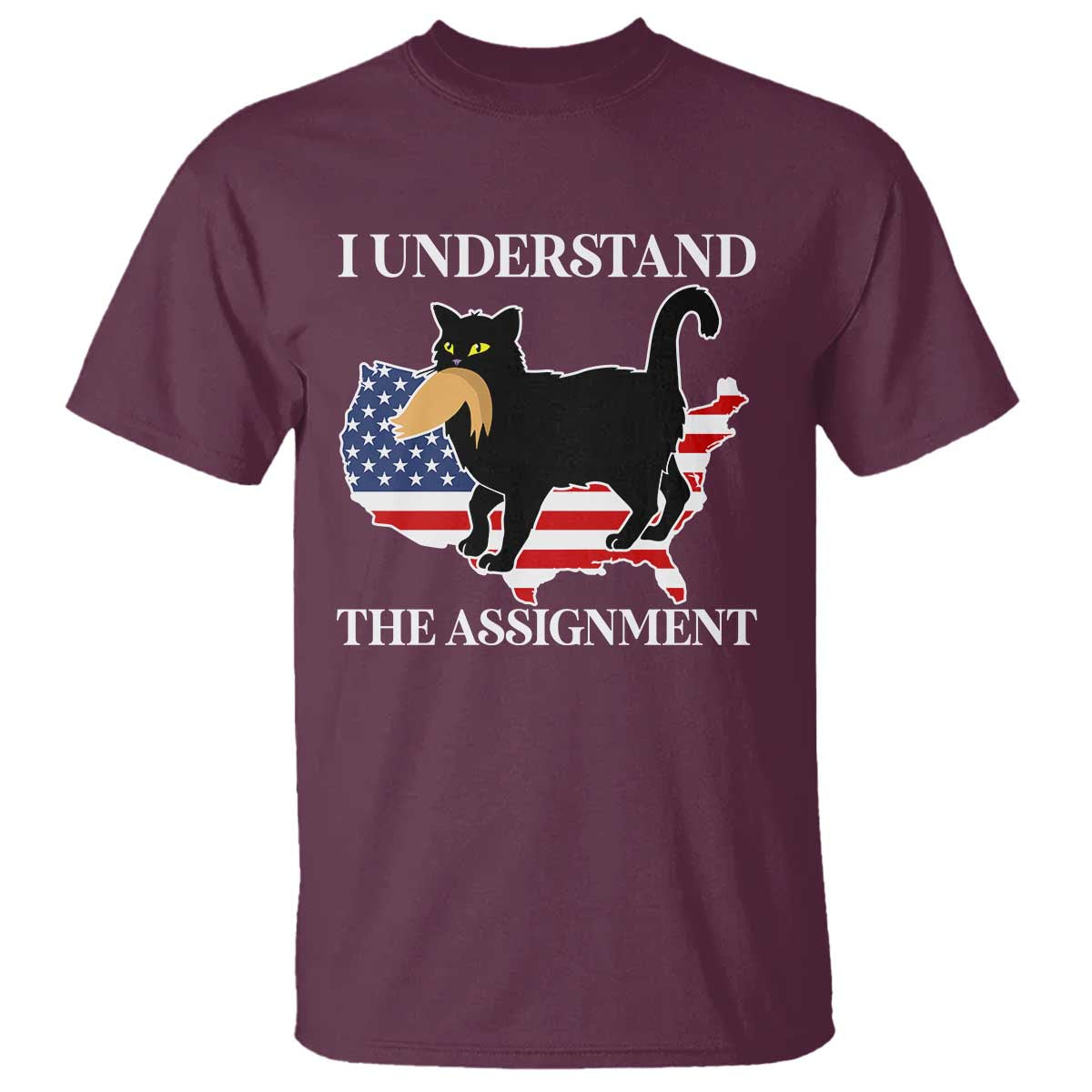 funny-harris-supporter-t-shirt-i-understand-the-assignment-black-cat-american-flag