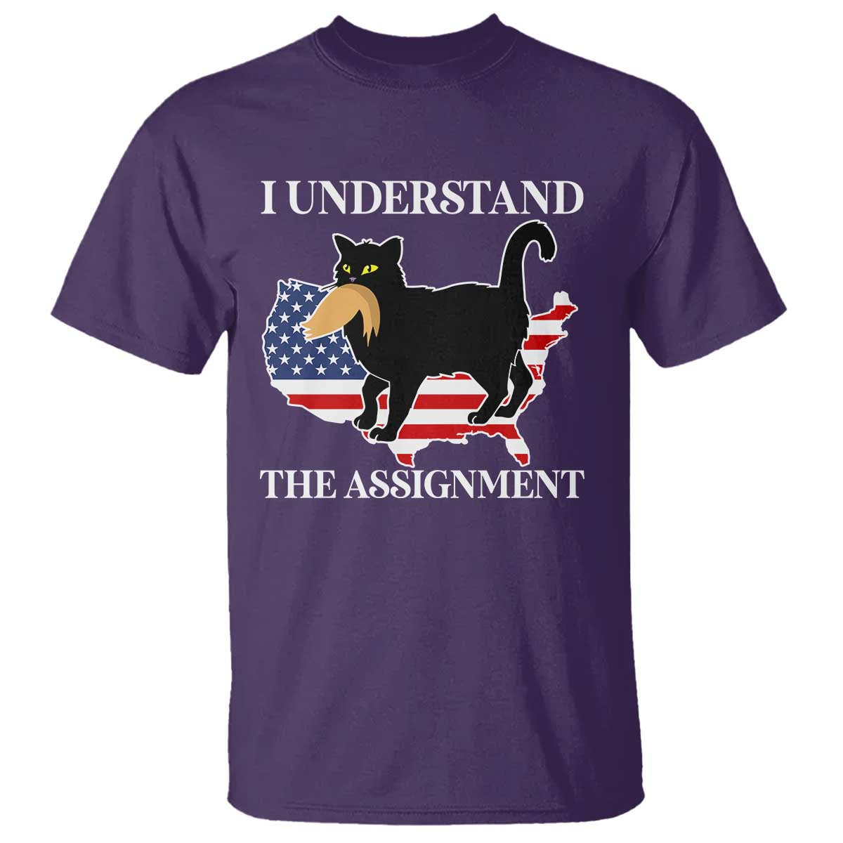 funny-harris-supporter-t-shirt-i-understand-the-assignment-black-cat-american-flag