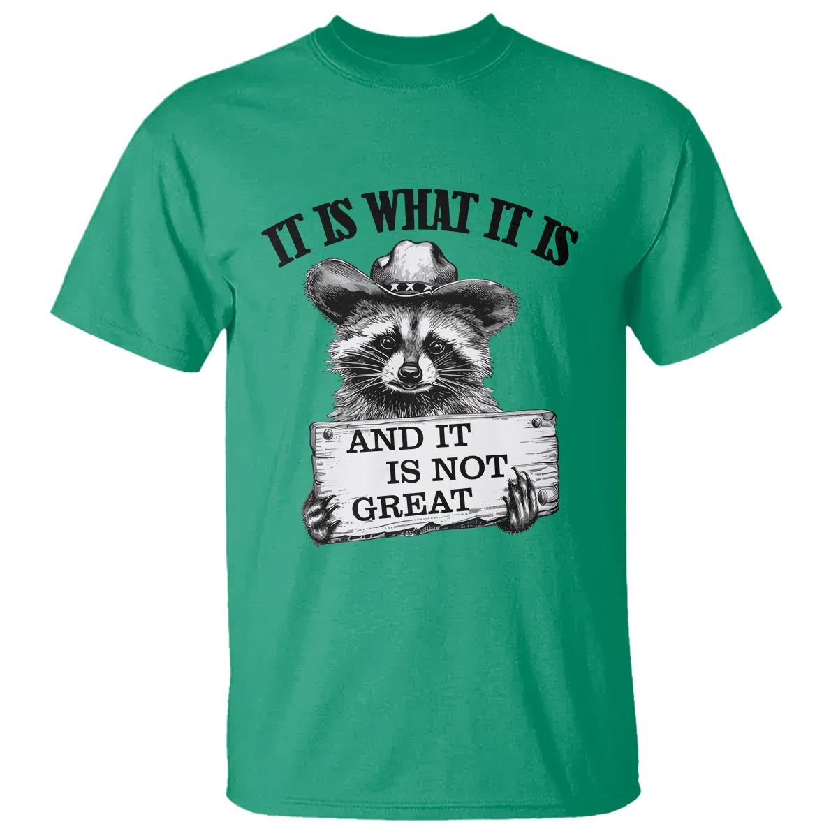 funny-raccoon-t-shirt-it-is-what-it-is-and-it-is-not-great-text-display-board