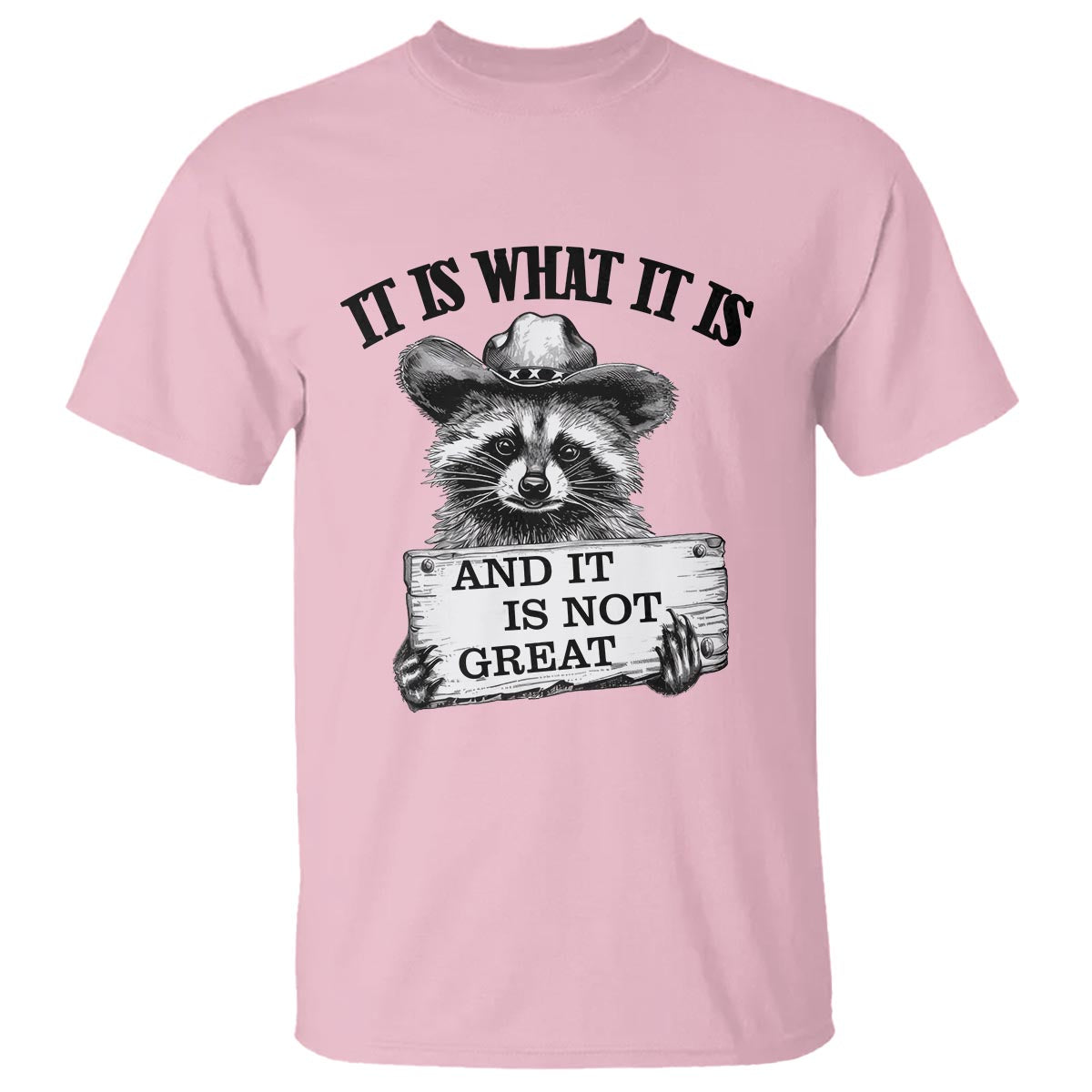 funny-raccoon-t-shirt-it-is-what-it-is-and-it-is-not-great-text-display-board
