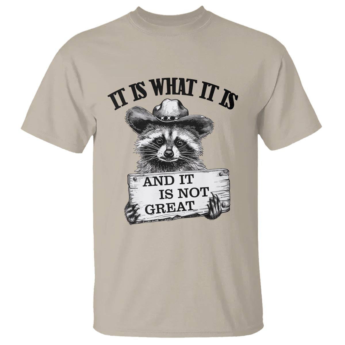 funny-raccoon-t-shirt-it-is-what-it-is-and-it-is-not-great-text-display-board