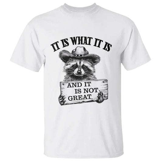funny-raccoon-t-shirt-it-is-what-it-is-and-it-is-not-great-text-display-board