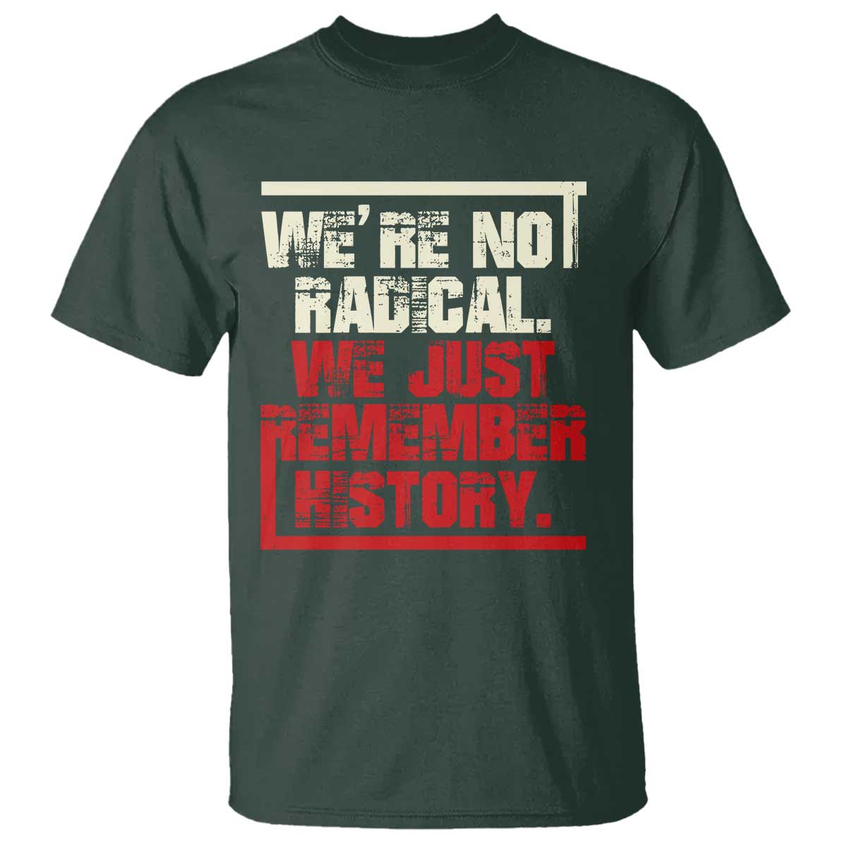 we-are-not-radical-we-just-remember-history-t-shirt