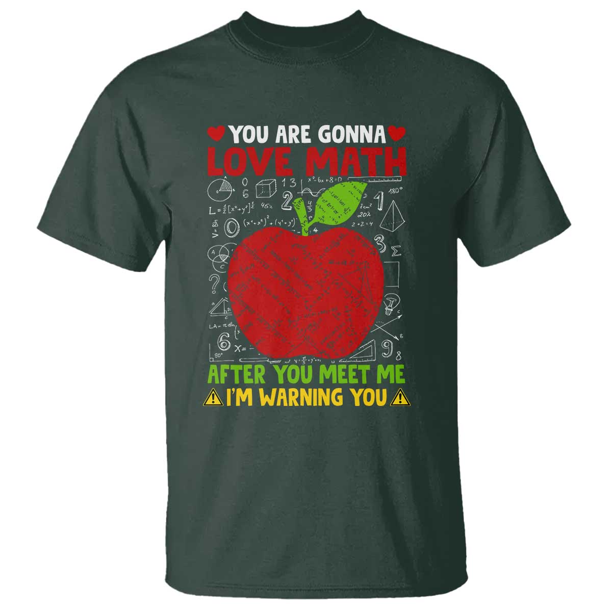 funny-math-teacher-t-shirt-you-are-gonna-love-math-after-you-meet-me-im-warning-you