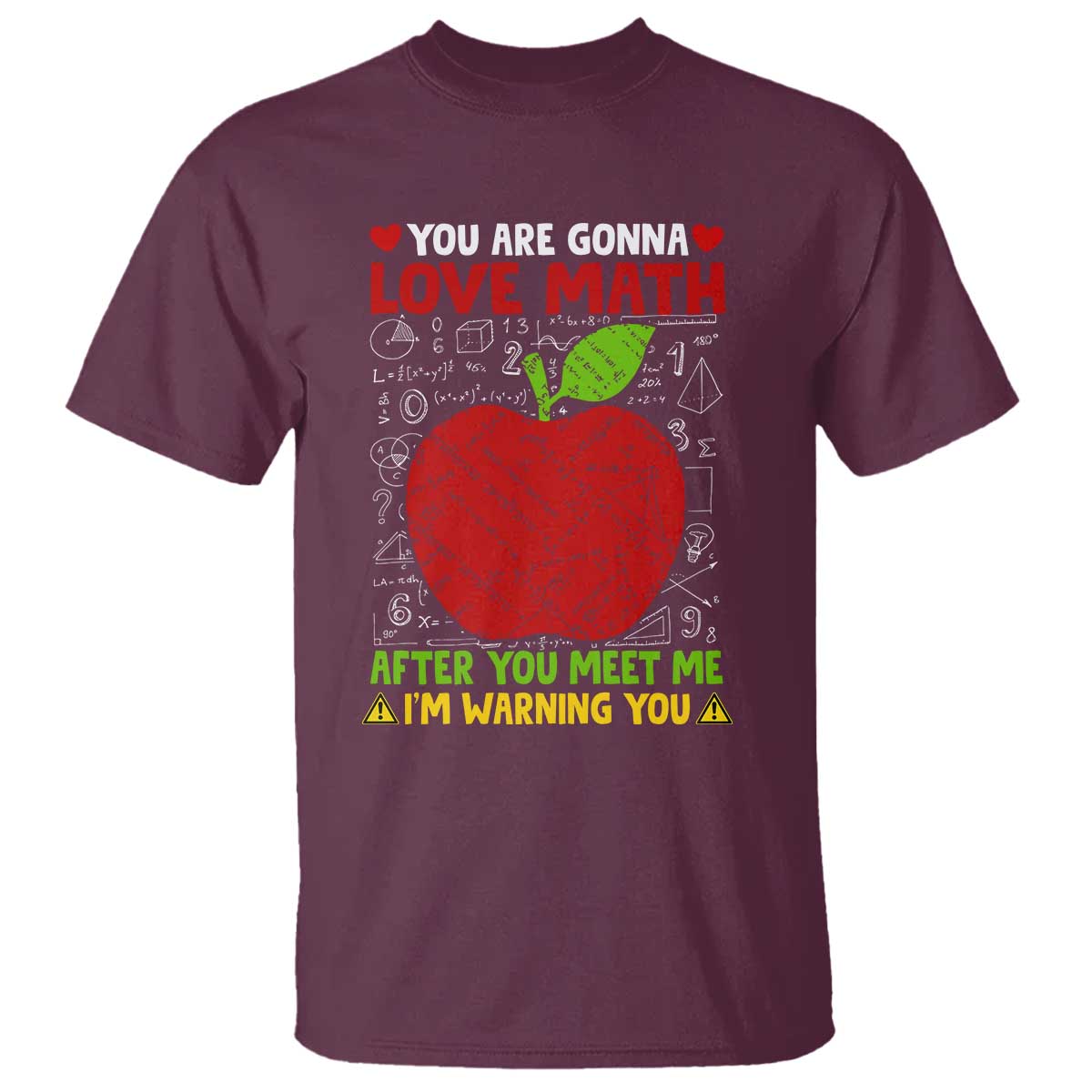 funny-math-teacher-t-shirt-you-are-gonna-love-math-after-you-meet-me-im-warning-you