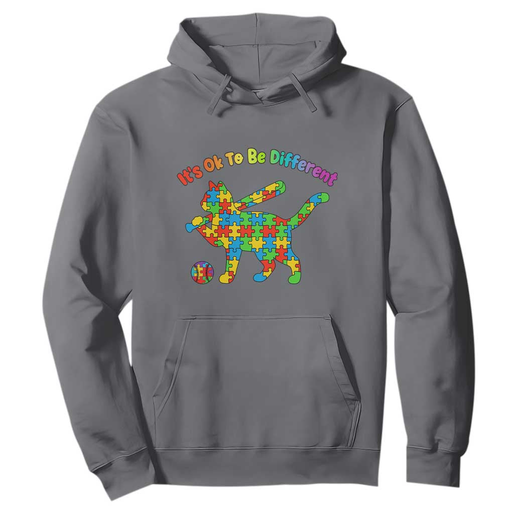 Autism Acceptance Baseball Cat Hoodie It Is Ok To Be Different