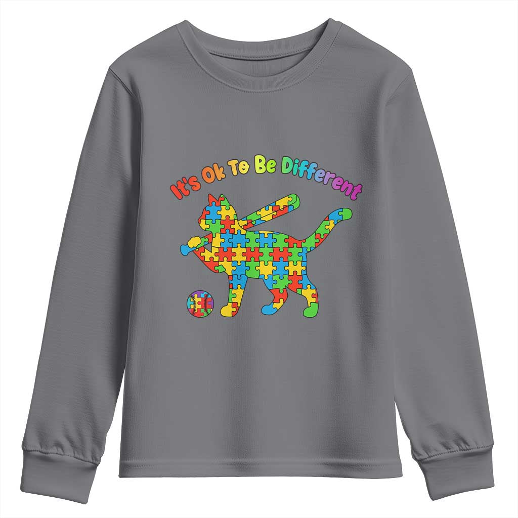 Autism Acceptance Baseball Cat Youth Sweatshirt It Is Ok To Be Different