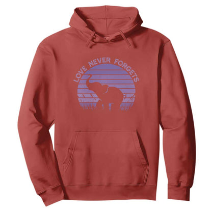 Alzheimer's Support And Hope Hoodie Vintage Elephant Love Never Forgets