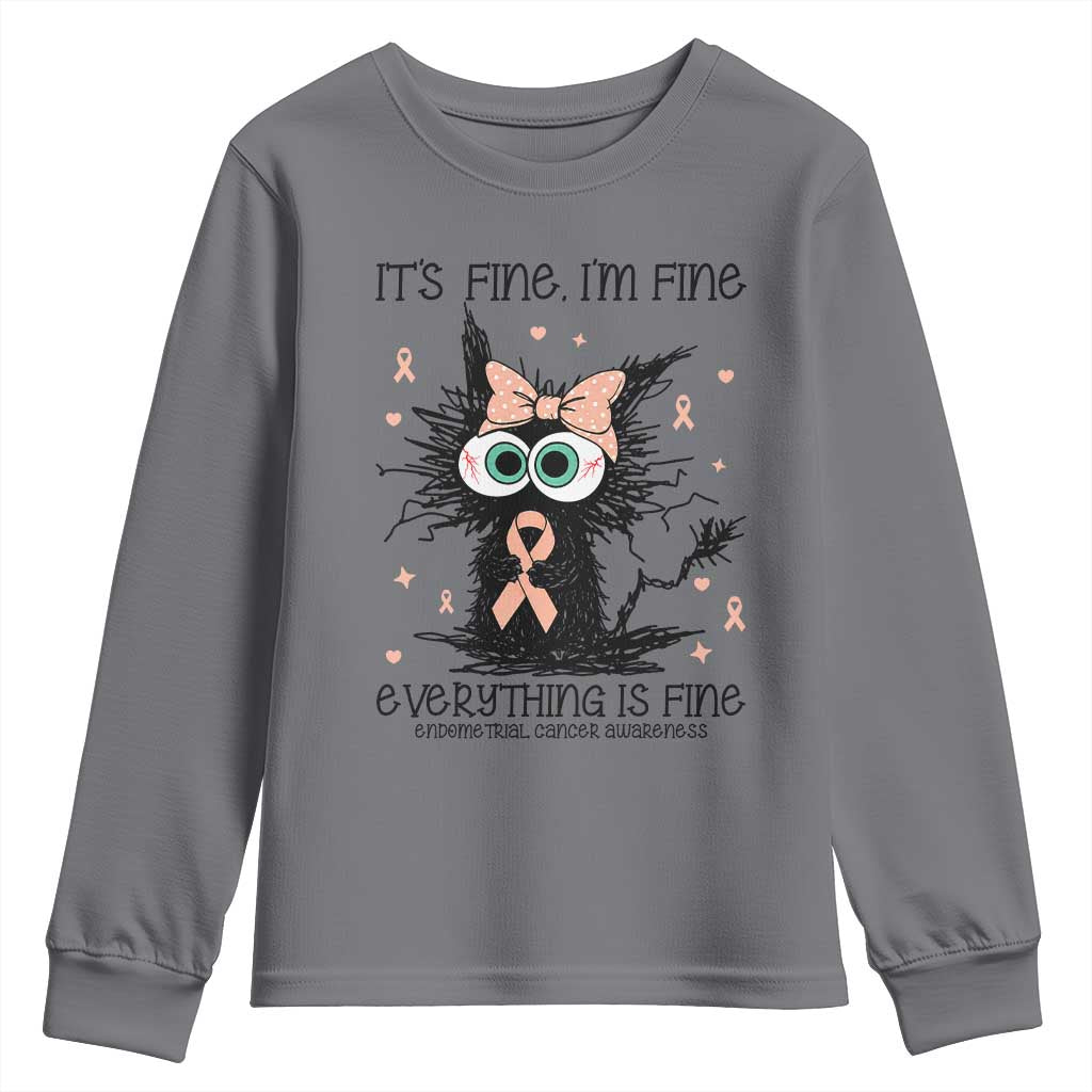 Funny Black Cat Endometrial Cancer Youth Sweatshirt Its Fine Im Fine Everything Is Fine