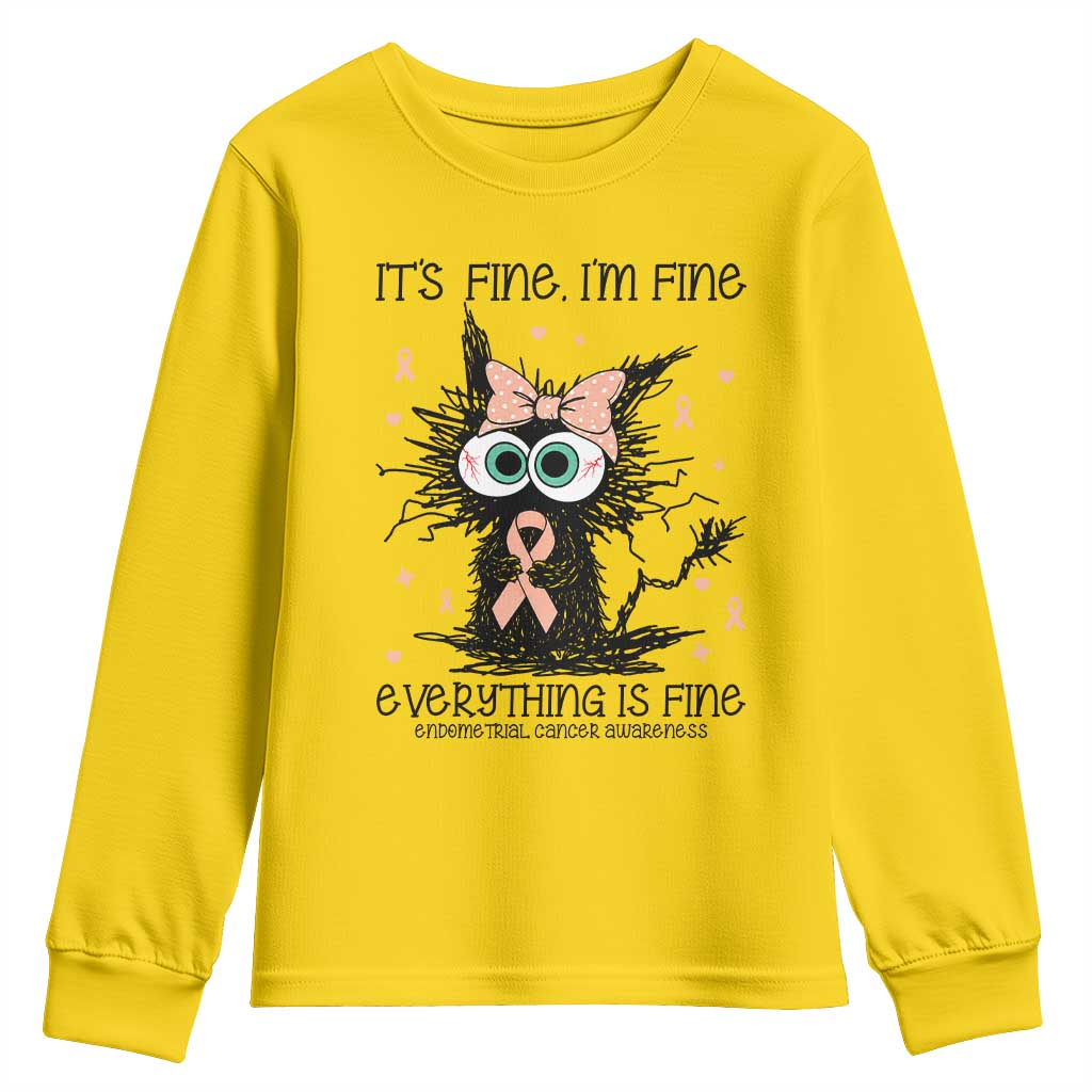 Funny Black Cat Endometrial Cancer Youth Sweatshirt Its Fine Im Fine Everything Is Fine