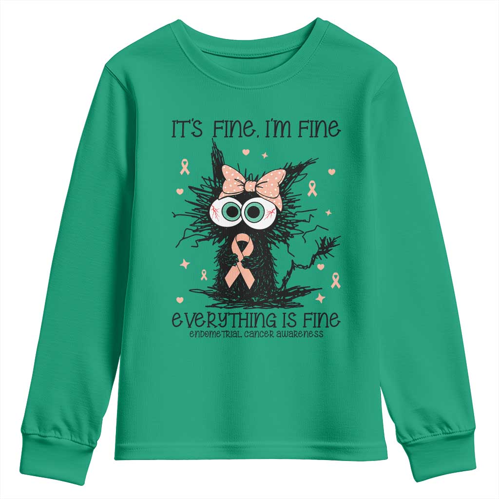 Funny Black Cat Endometrial Cancer Youth Sweatshirt Its Fine Im Fine Everything Is Fine