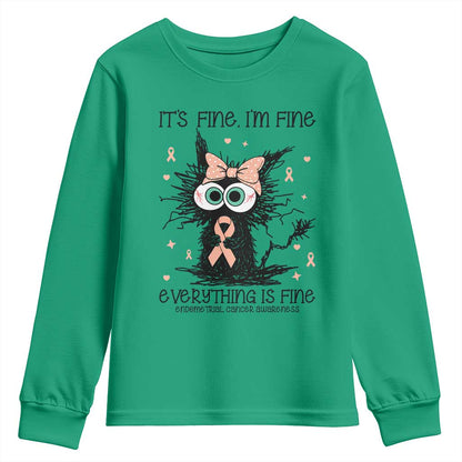 Funny Black Cat Endometrial Cancer Youth Sweatshirt Its Fine Im Fine Everything Is Fine