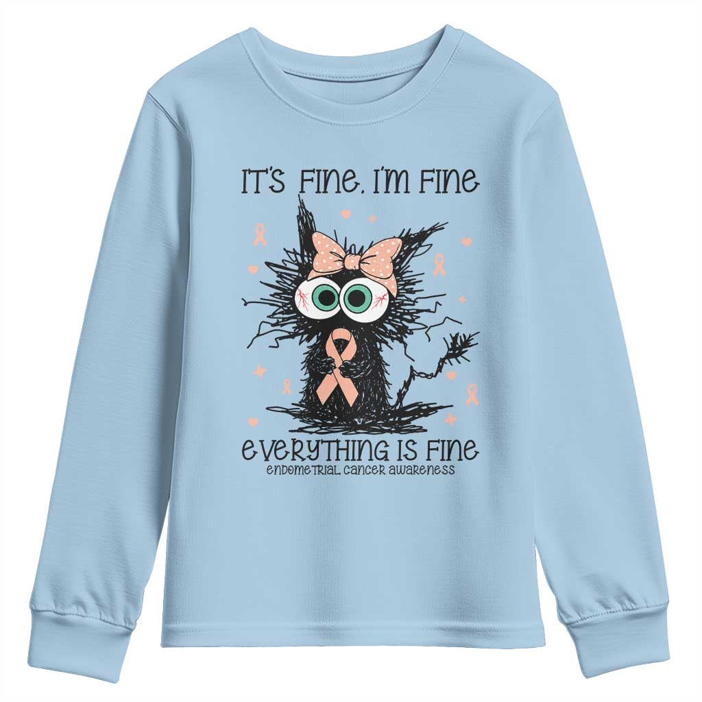 Funny Black Cat Endometrial Cancer Youth Sweatshirt Its Fine Im Fine Everything Is Fine