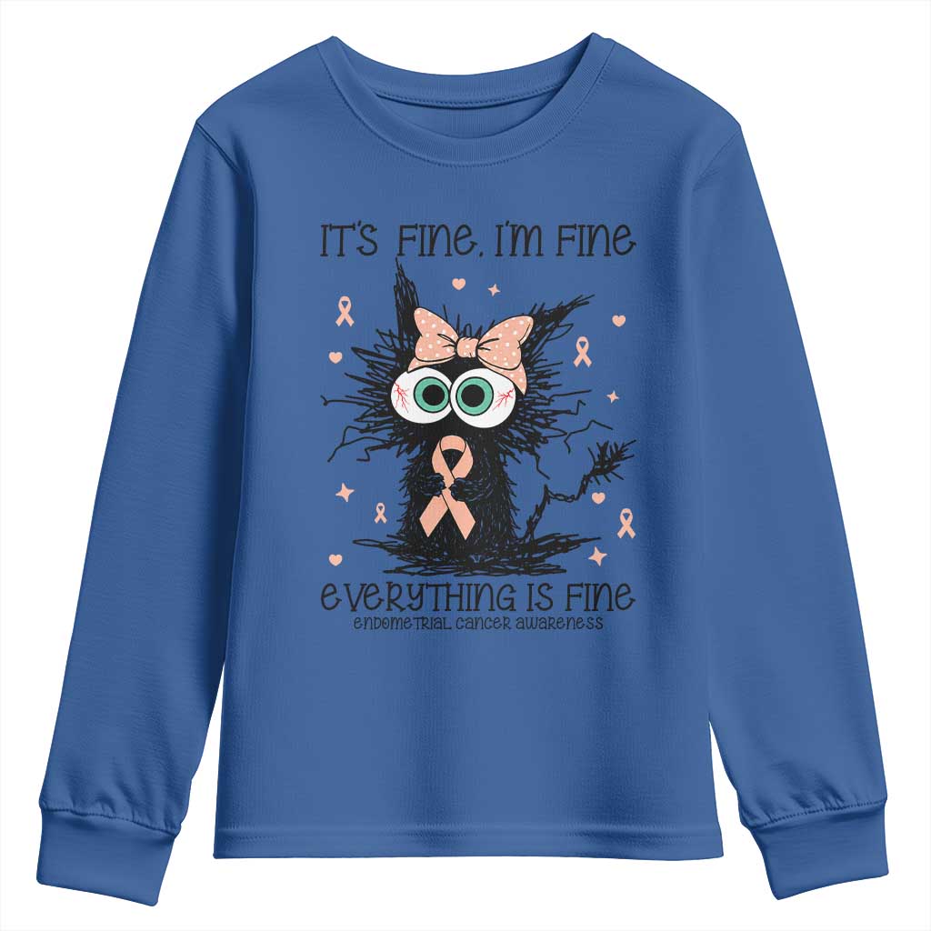 Funny Black Cat Endometrial Cancer Youth Sweatshirt Its Fine Im Fine Everything Is Fine