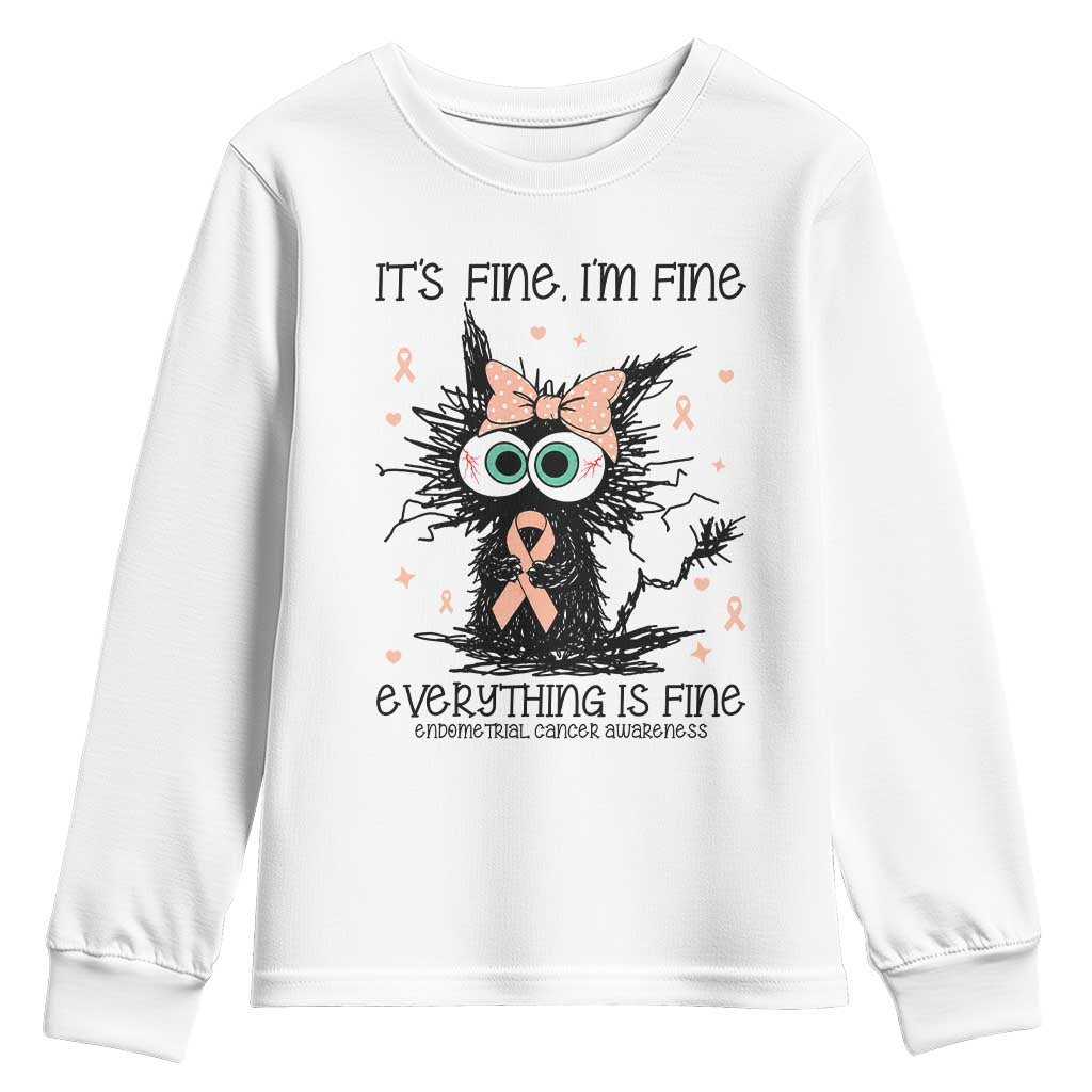 Funny Black Cat Endometrial Cancer Youth Sweatshirt Its Fine Im Fine Everything Is Fine